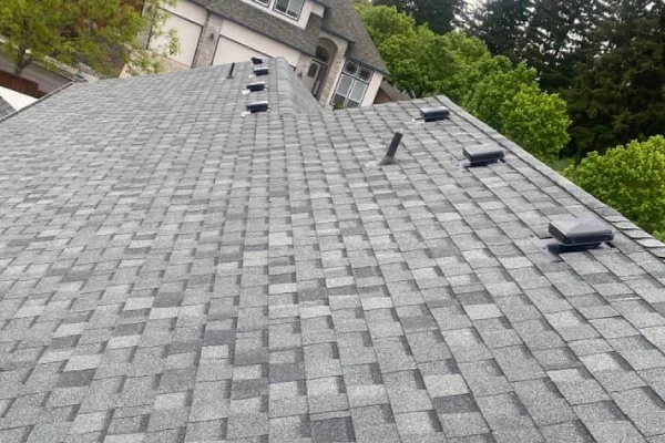Shingle Repair
